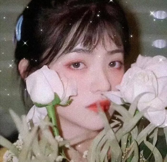 易烊千玺 / 朱一龙 / 宋佳 